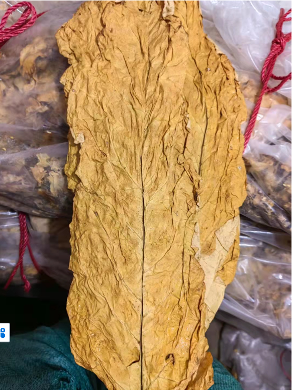  连州孔塘烟价格 孔塘烟丝多少钱一斤 孔塘贡烟